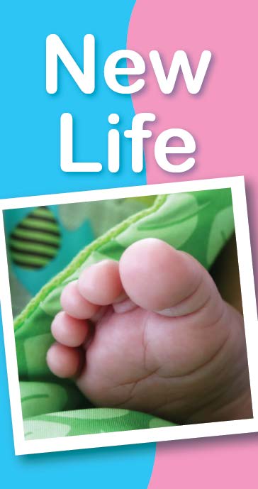 Tract: New Life [100 Pack] PB - Hayes Gospel Tracts